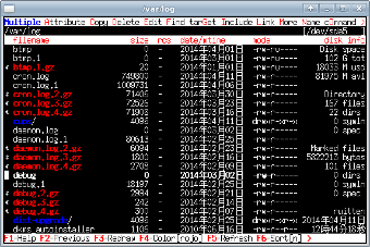 running in kterm